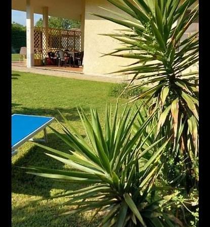 Green Garden Viareggio Exteriör bild