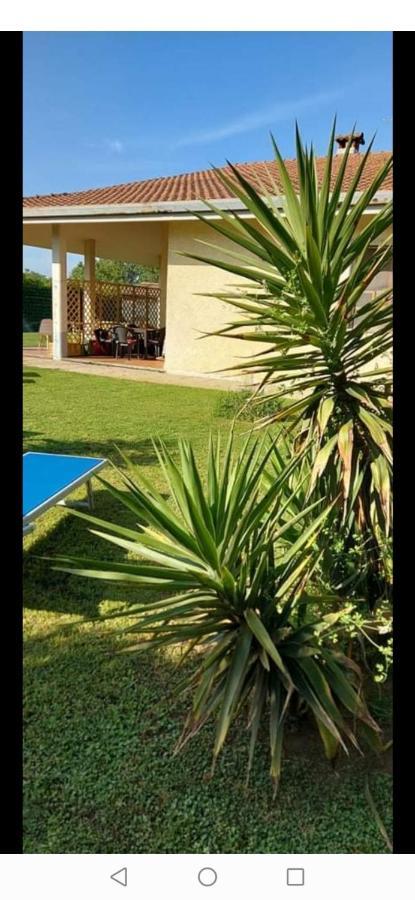 Green Garden Viareggio Exteriör bild